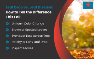Leaf Drop vs. Leaf Disease Infographic