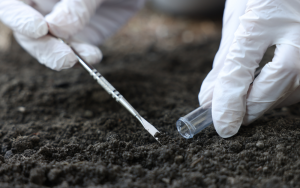 Soil Testing