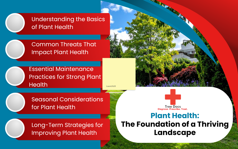 plant health