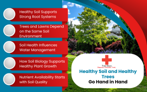 healthy soil